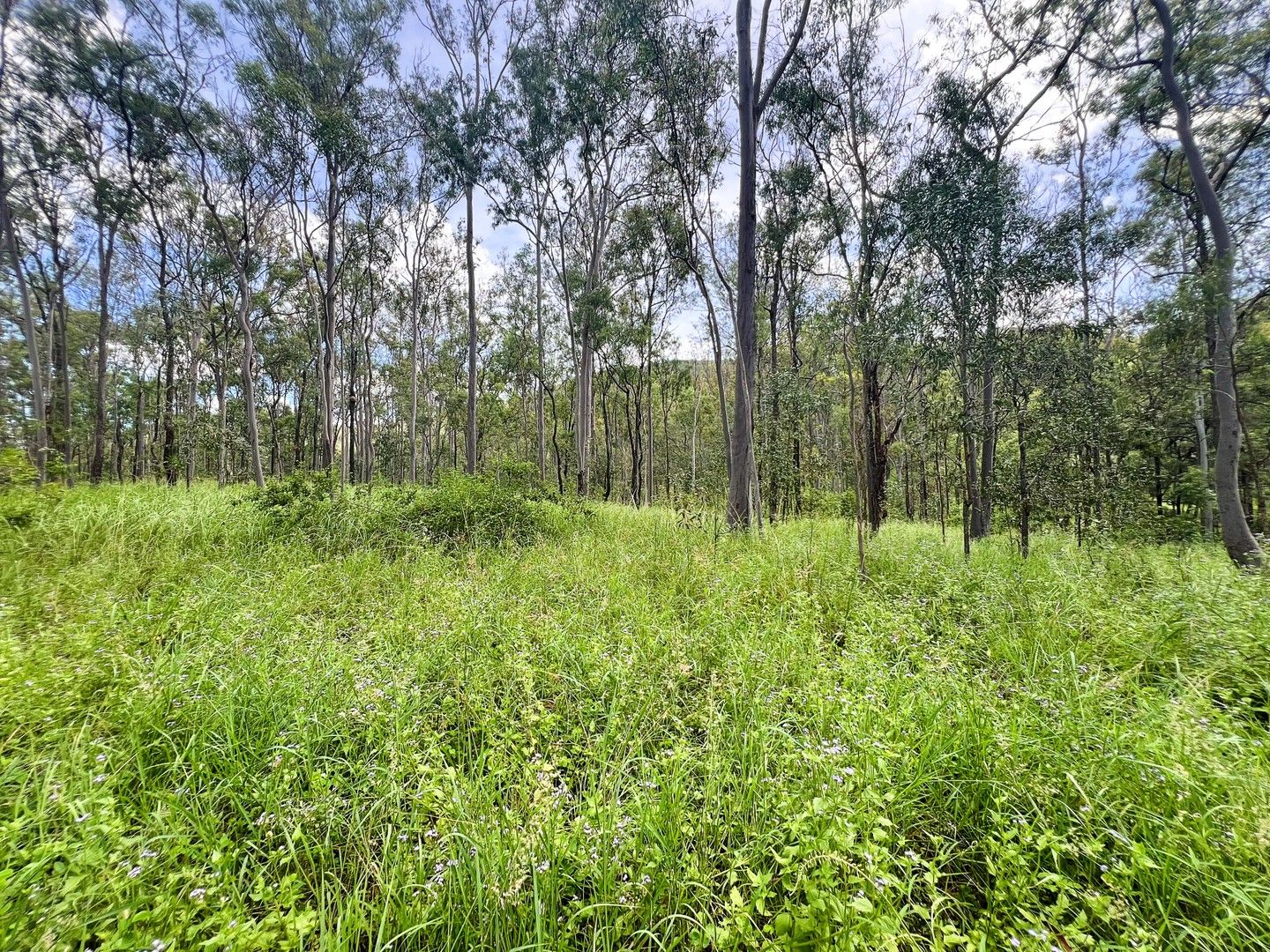 Lot 4 Gaeta Road, Gaeta QLD 4671, Image 0