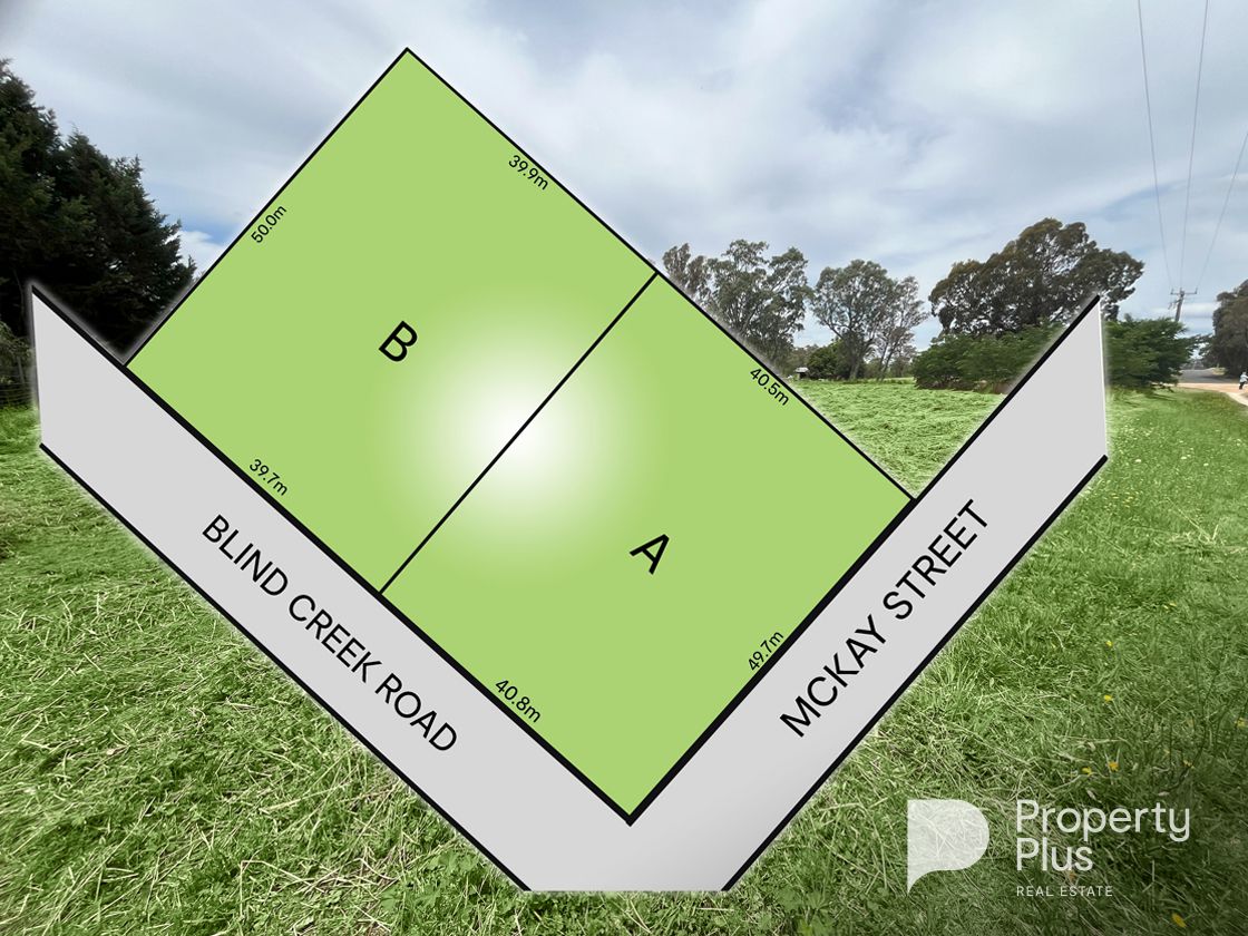 Lots 6 & 7 Blind Creek Road, Elmhurst VIC 3469, Image 0