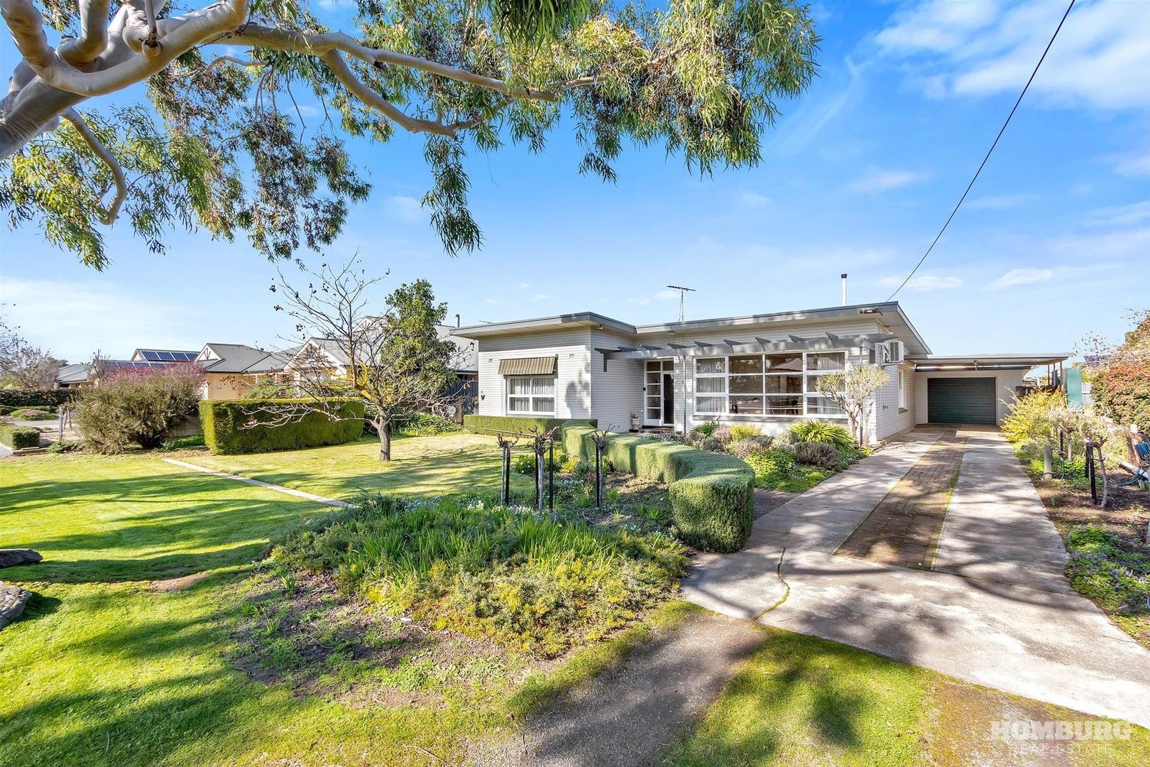 6 South Terrace, Nuriootpa SA 5355, Image 0