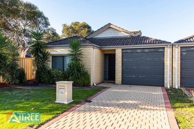 Picture of 20a Barrett Street, SOUTHERN RIVER WA 6110