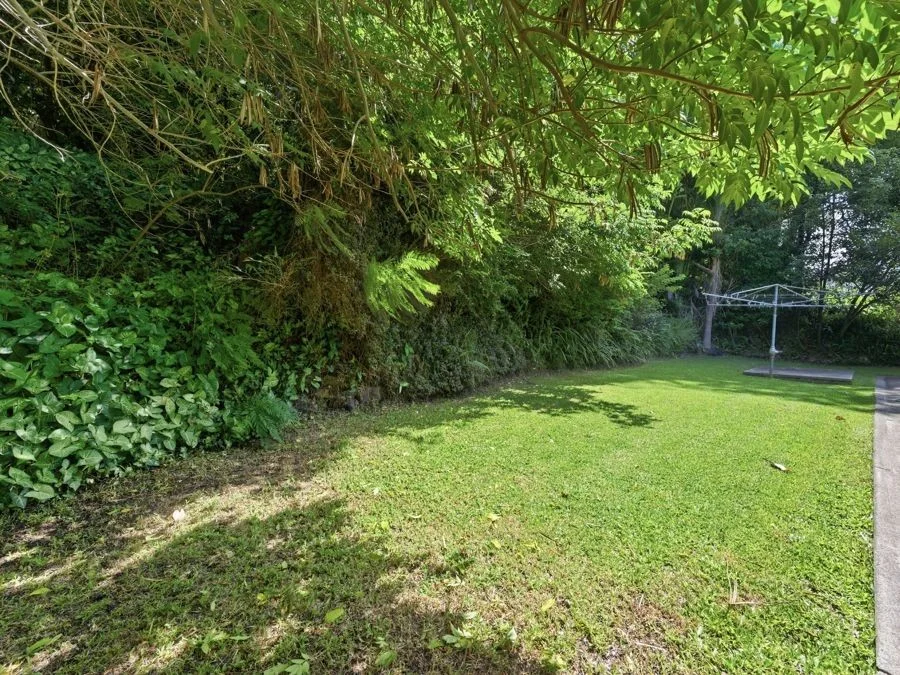 Image 30