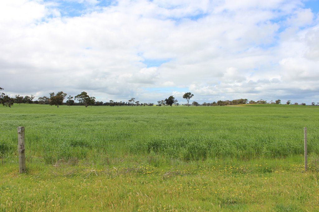 769 Wurlyana Road, Keith SA 5267, Image 2