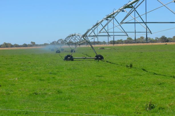 #8780 Water Licence, Naracoorte SA 5271, Image 0