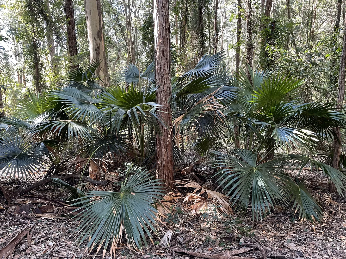 Image 12