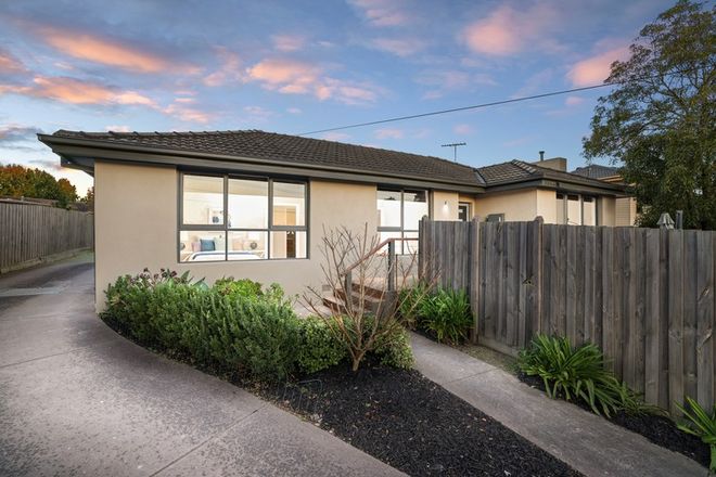 Picture of 1/119 Scoresby Road, BAYSWATER VIC 3153