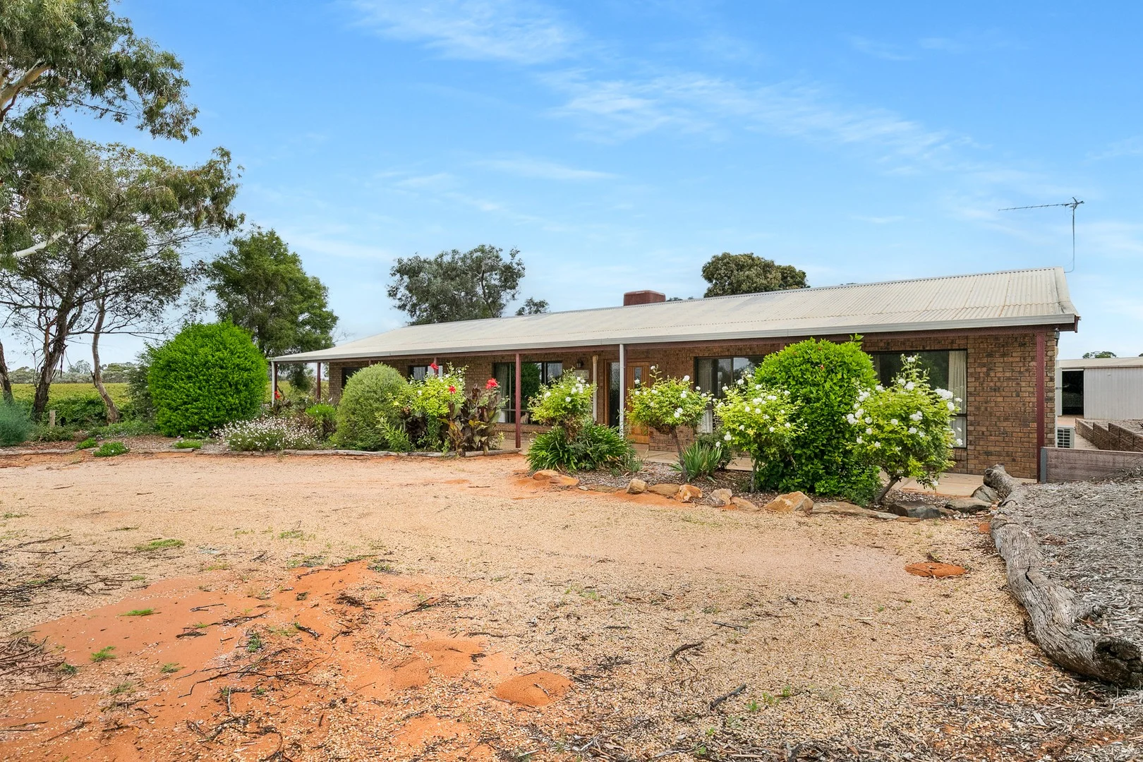Primary image of 129 Evans Road, Barmera SA 5345