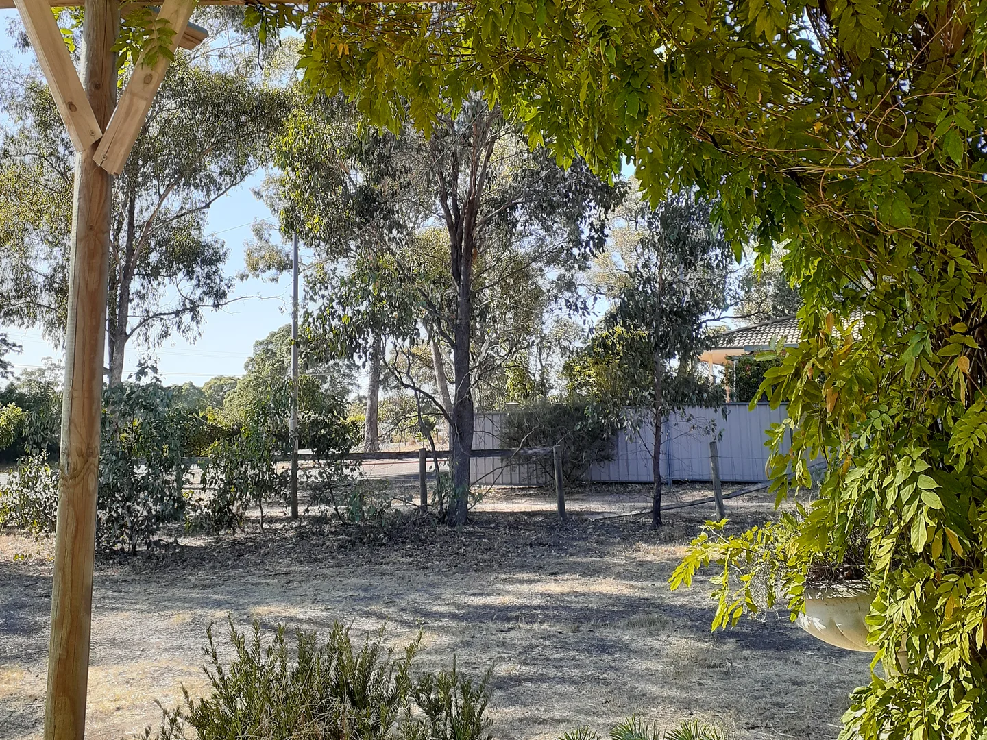 Image 20