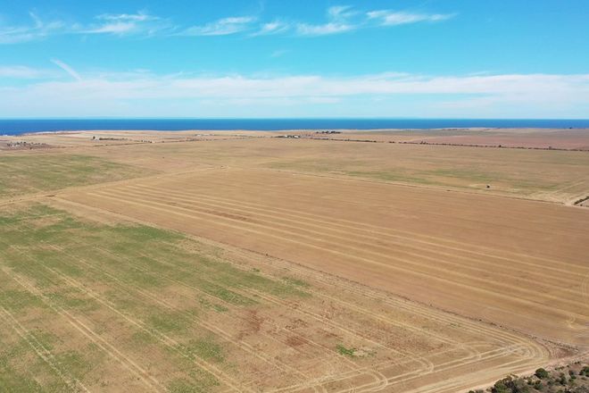 Picture of Lot 101 Wallaroo Plain Rd, WALLAROO PLAIN SA 5556