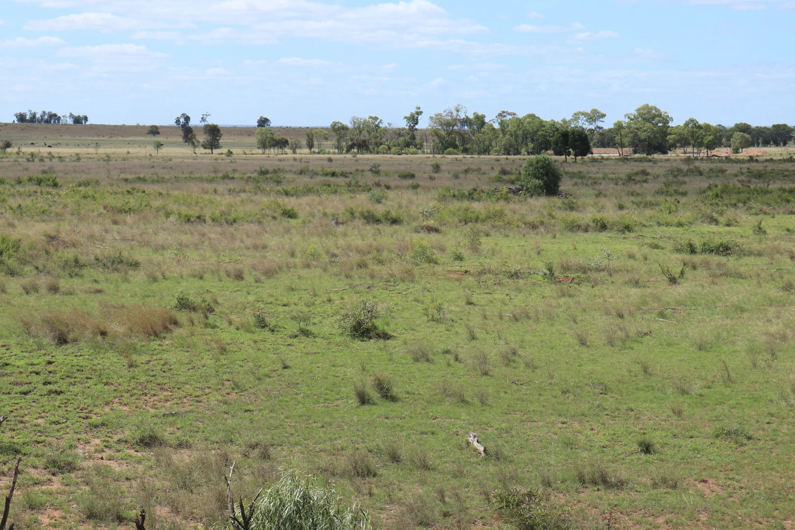 Additional image 30 of 952 Yuleba Surat Road, Yuleba QLD 4427