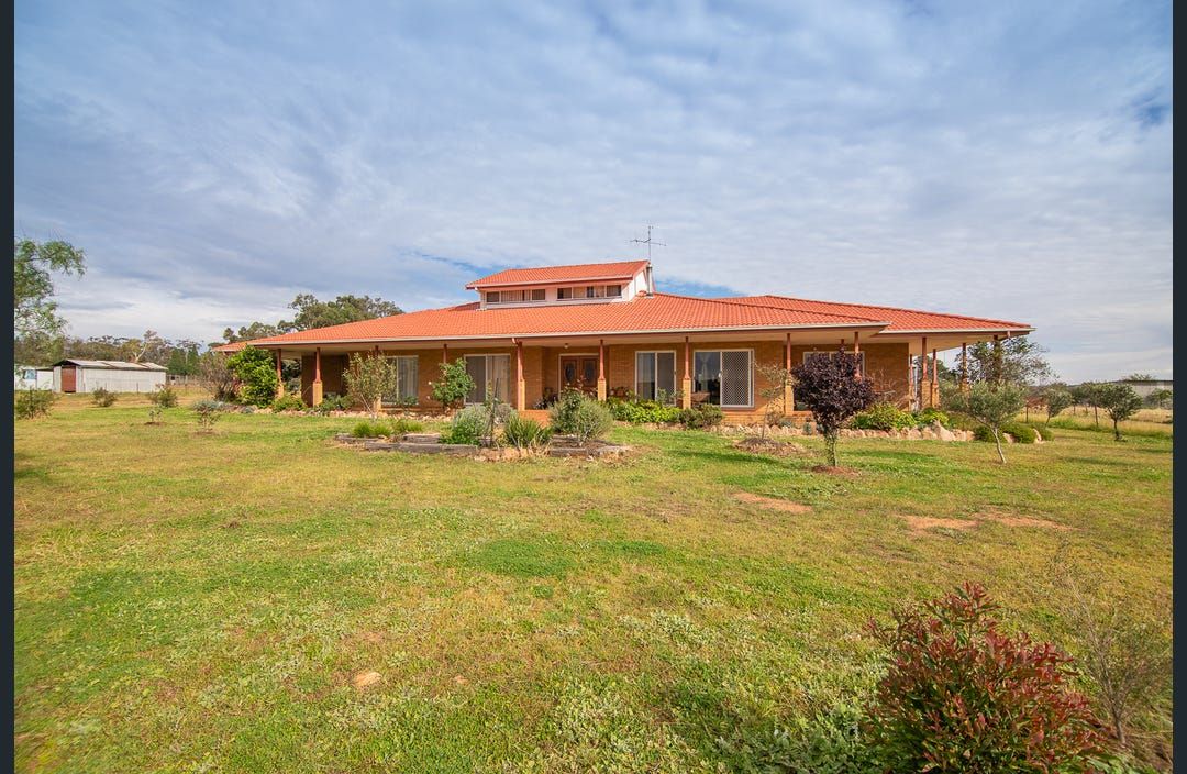 305 Blue Springs Road, Gulgong NSW 2852, Image 0