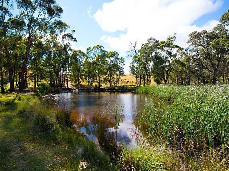 Lot 7/662 Porcupine Ridge Road, PORCUPINE RIDGE VIC 3461, Image 0