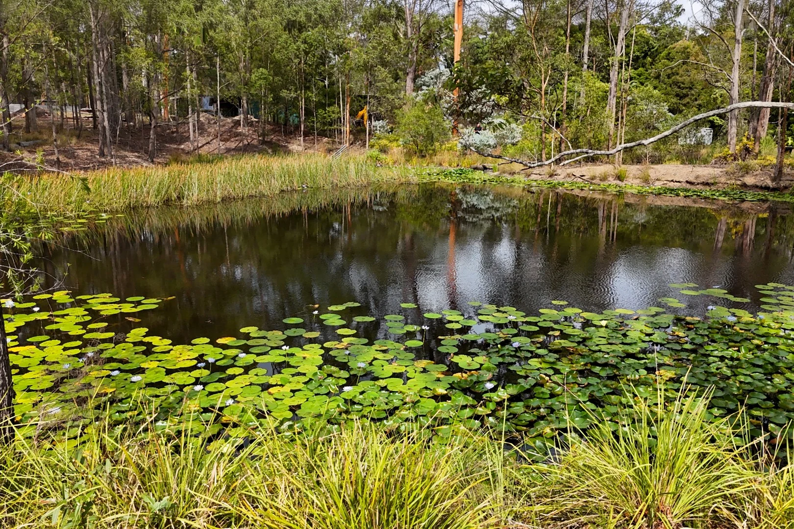 75 Smiths Creek Road, Kundabung NSW 2441