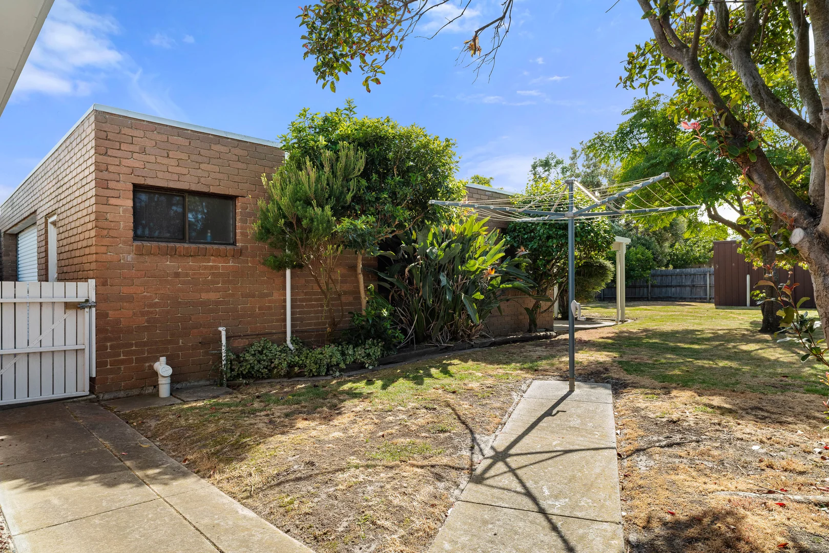 Image 13