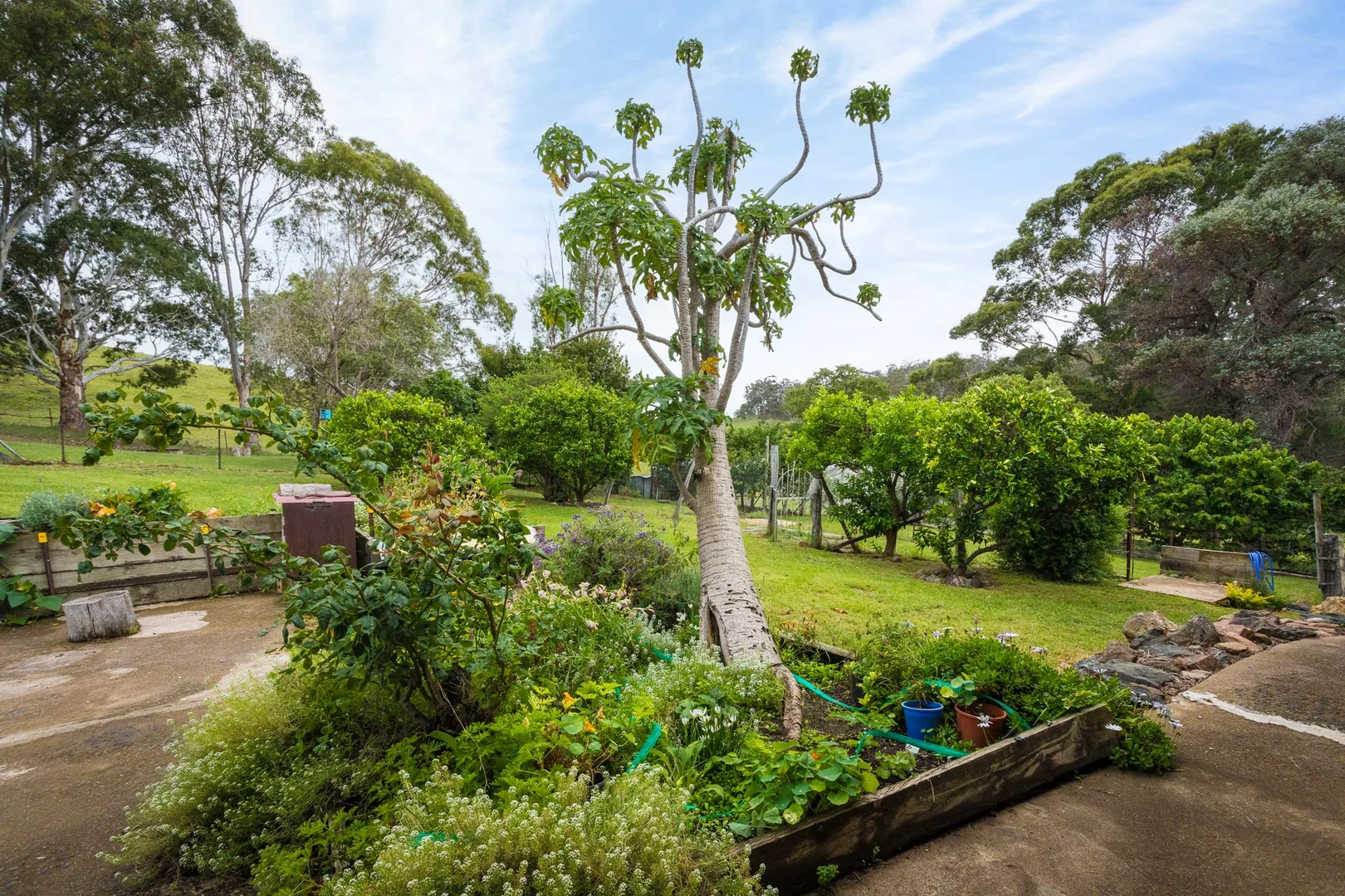 Additional image 39 of 286 Bald Hills Road, Bald Hills NSW 2549