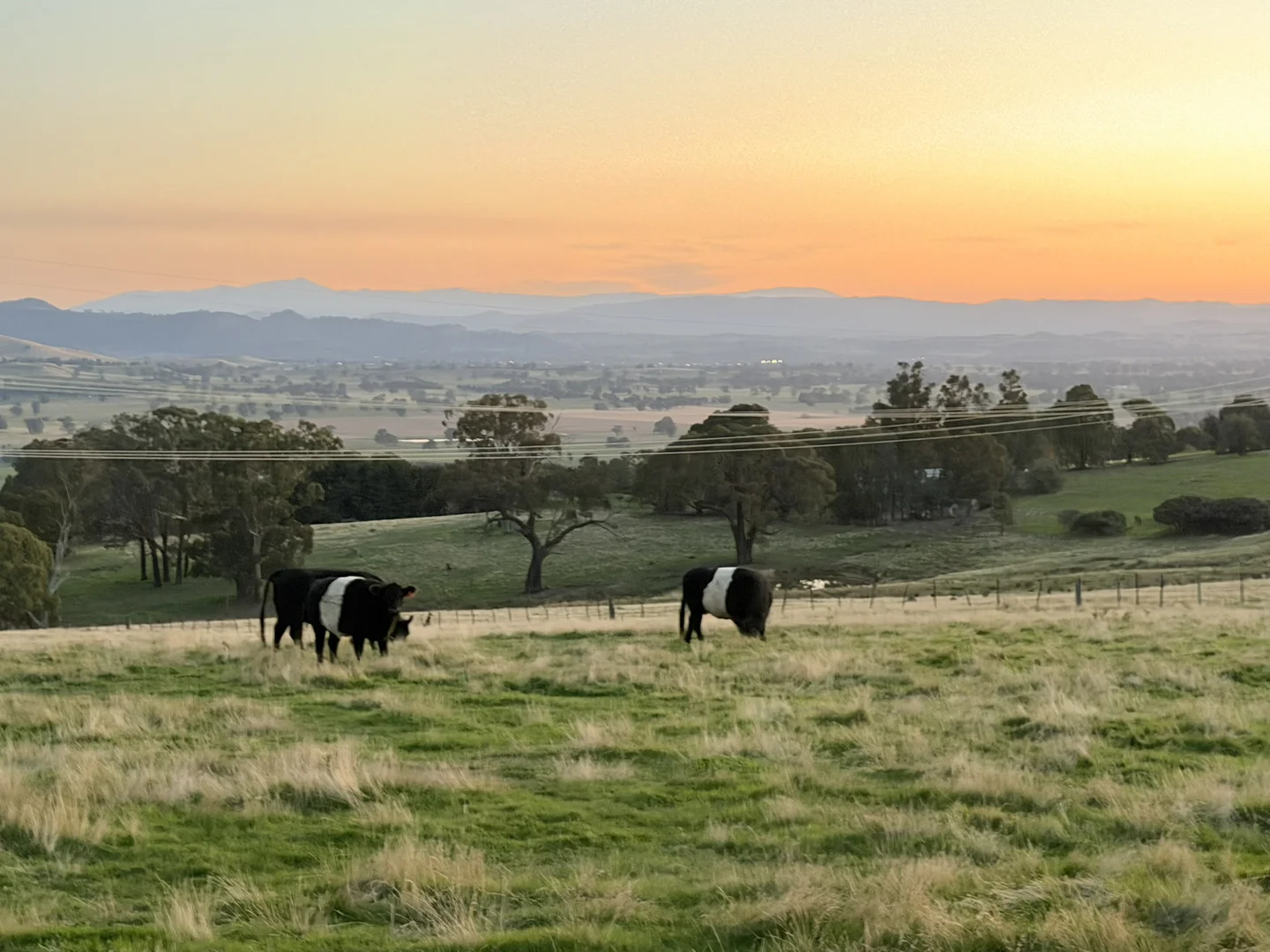 Additional image 2 of 428 Tabletop Road, Bridge Creek VIC 3723