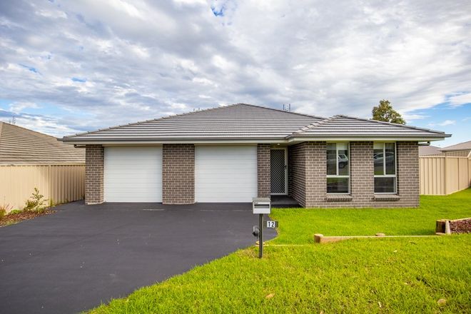 Picture of 12 Ellie Avenue, RAWORTH NSW 2321