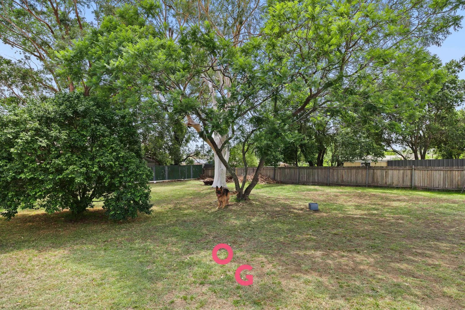 Image 15