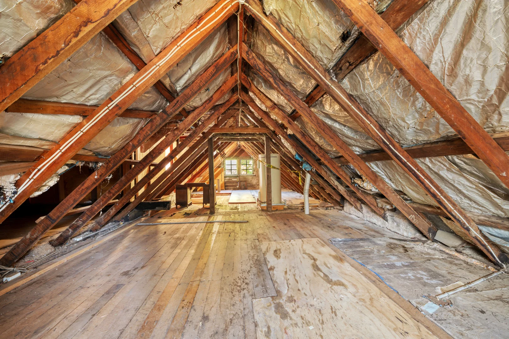 Image 13