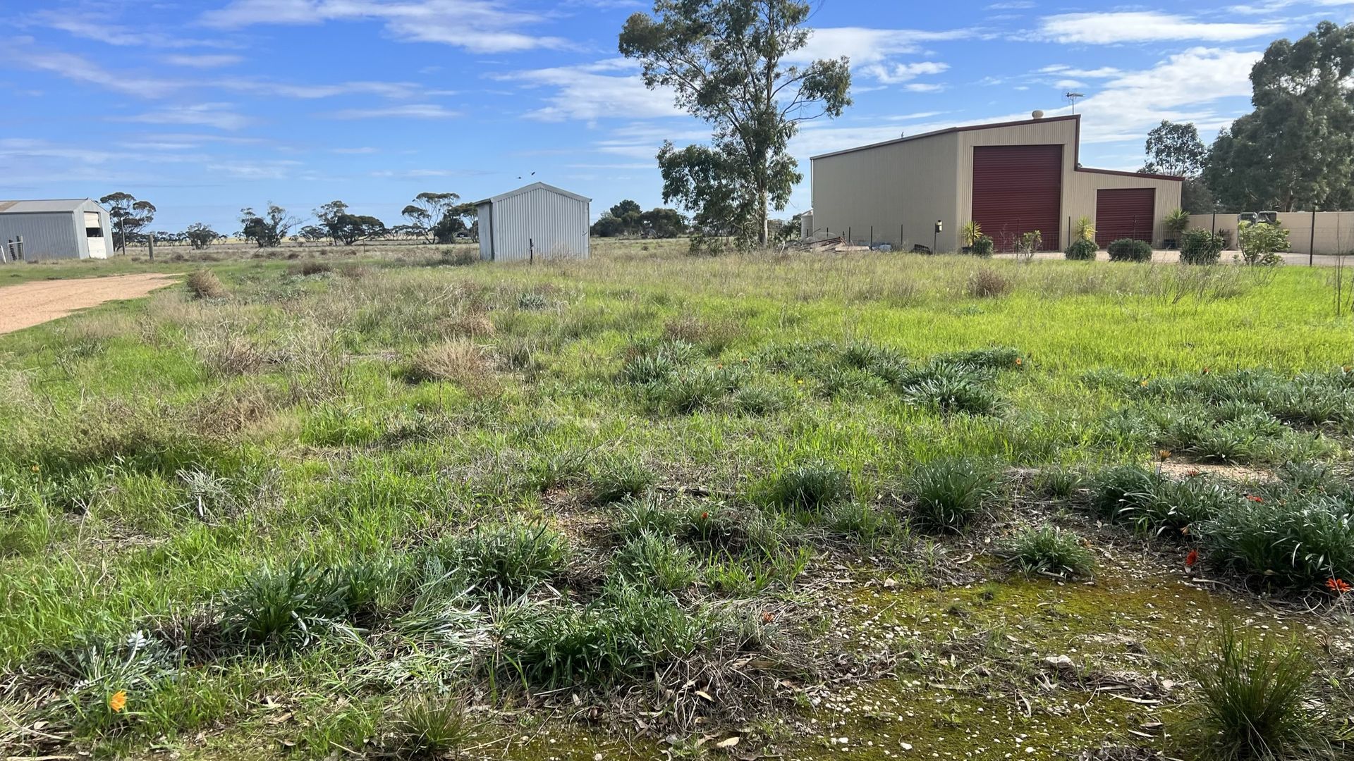 13 McIntosh Avenue, Pinnaroo SA 5304 Domain