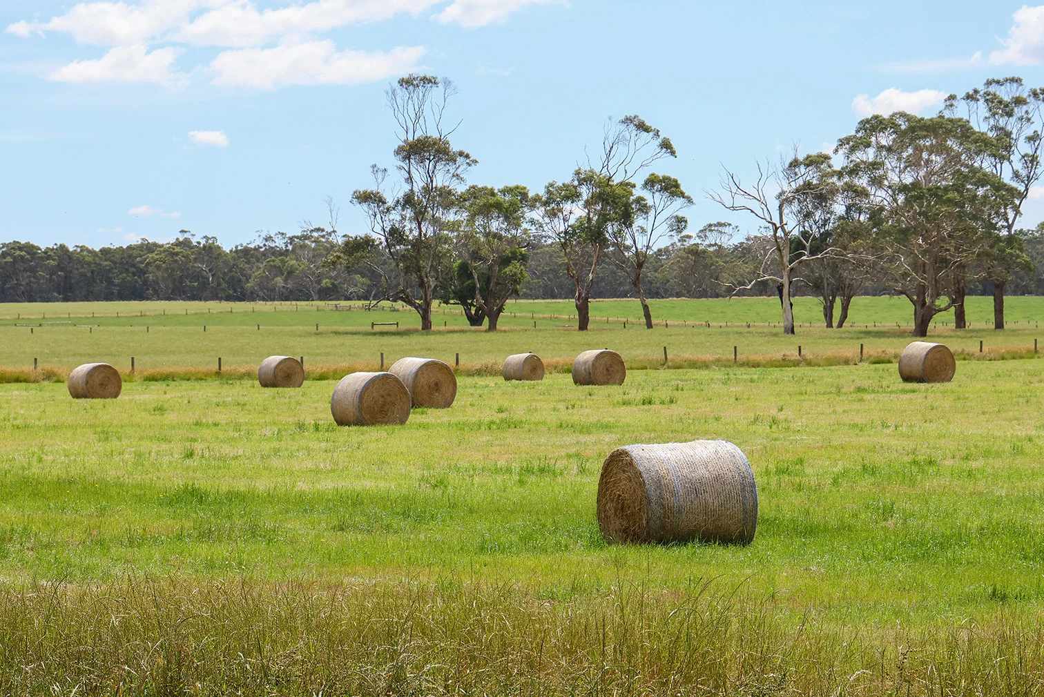 Image 18