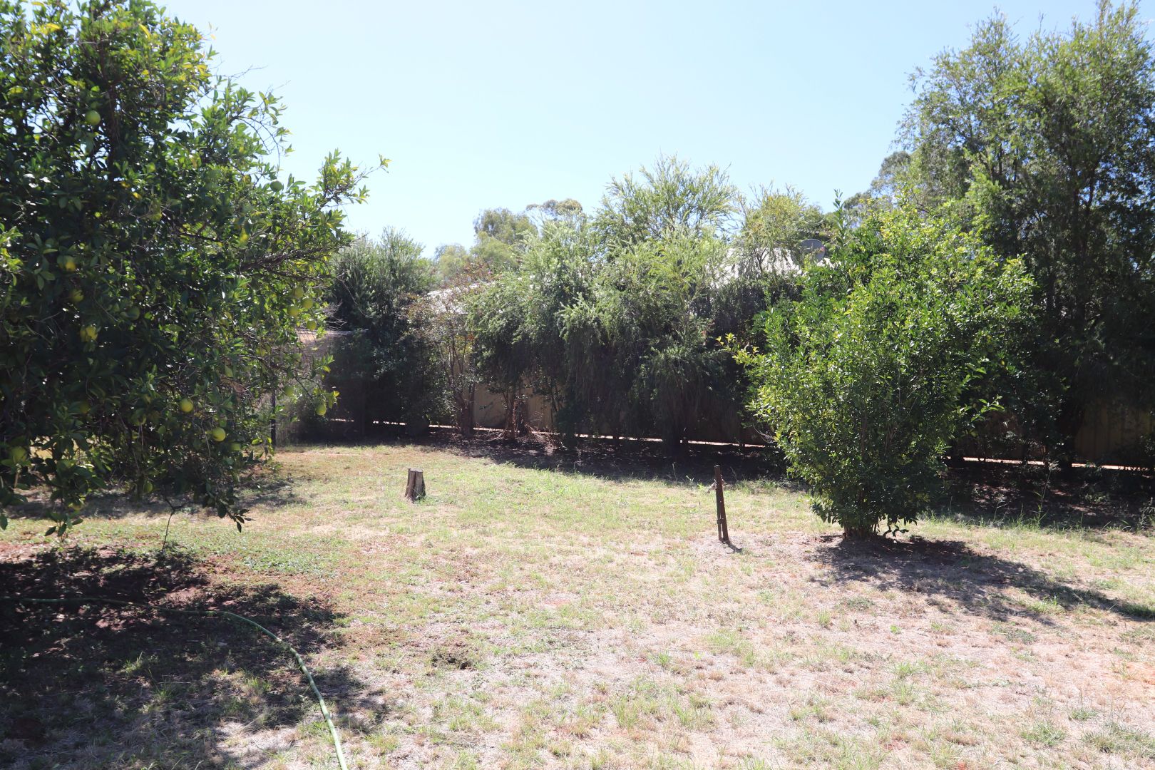 69 Partridge Street, Charleville QLD 4470 House For Rent 250 Domain