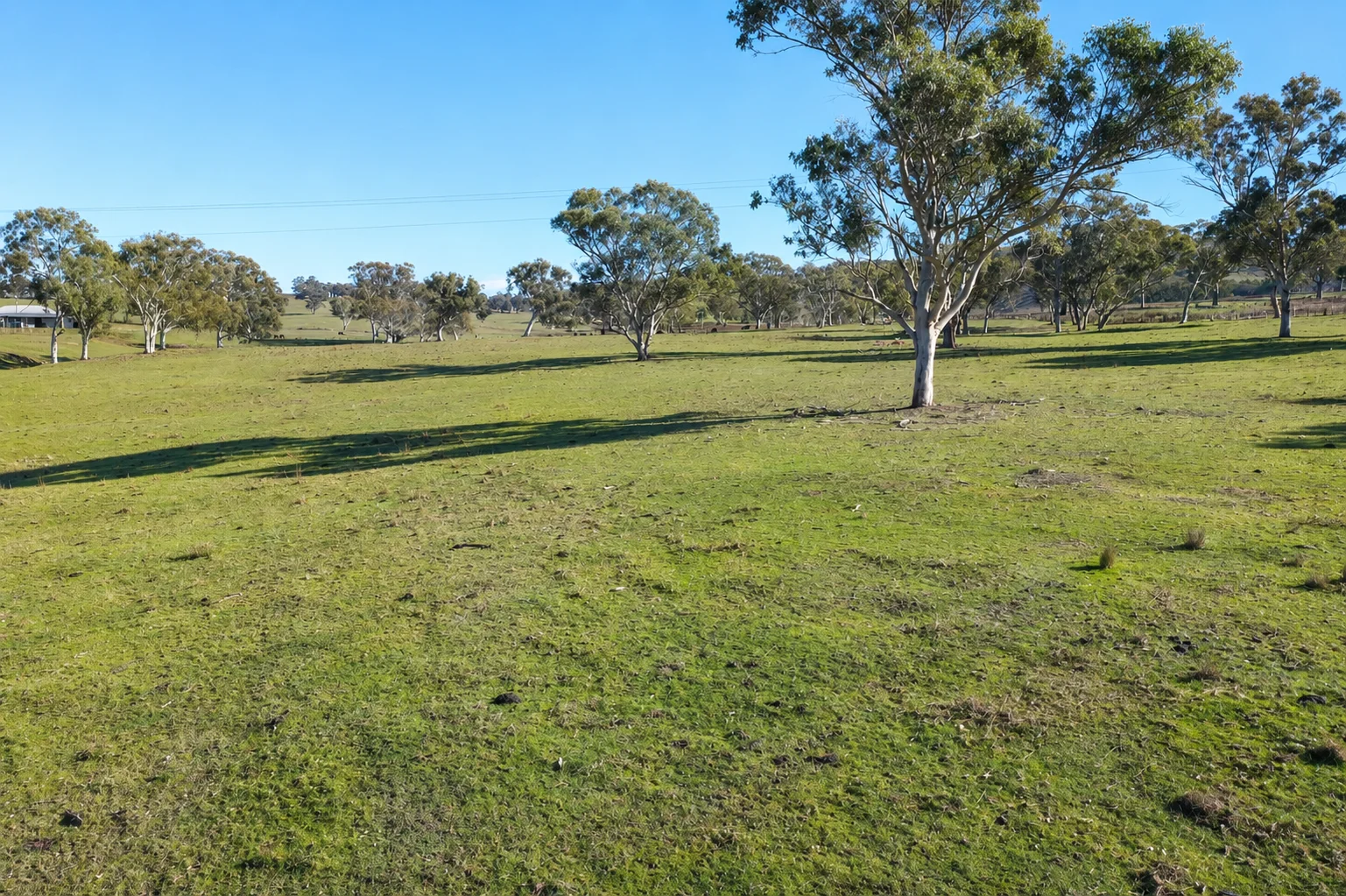Image 15