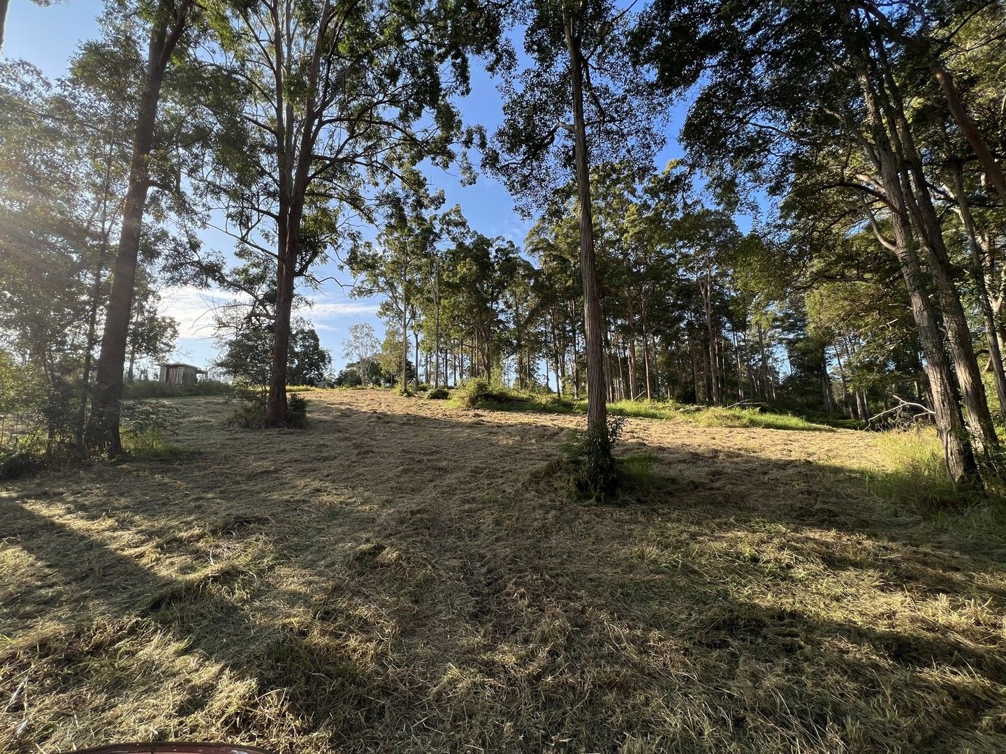 LOT 20/475 VERRIERDALE RD, Verrierdale QLD 4562, Image 1