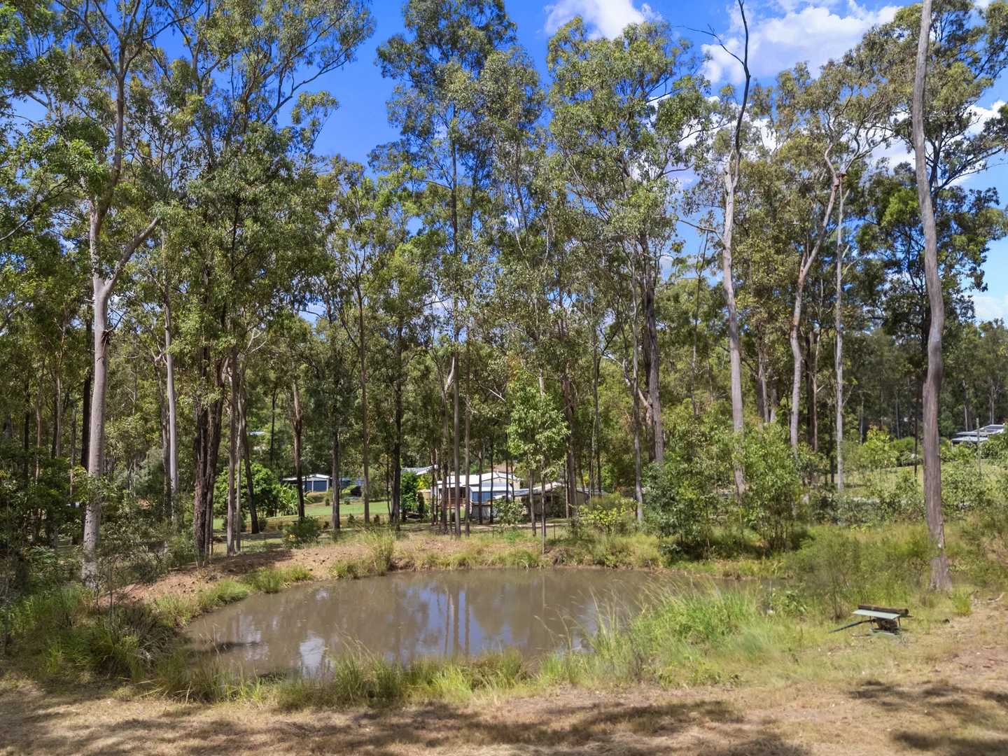 Image 15