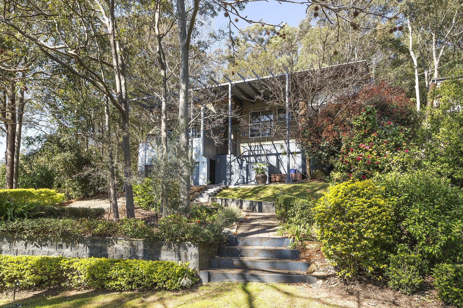 11 Astor Street, Adamstown Heights NSW 2289, Image 0