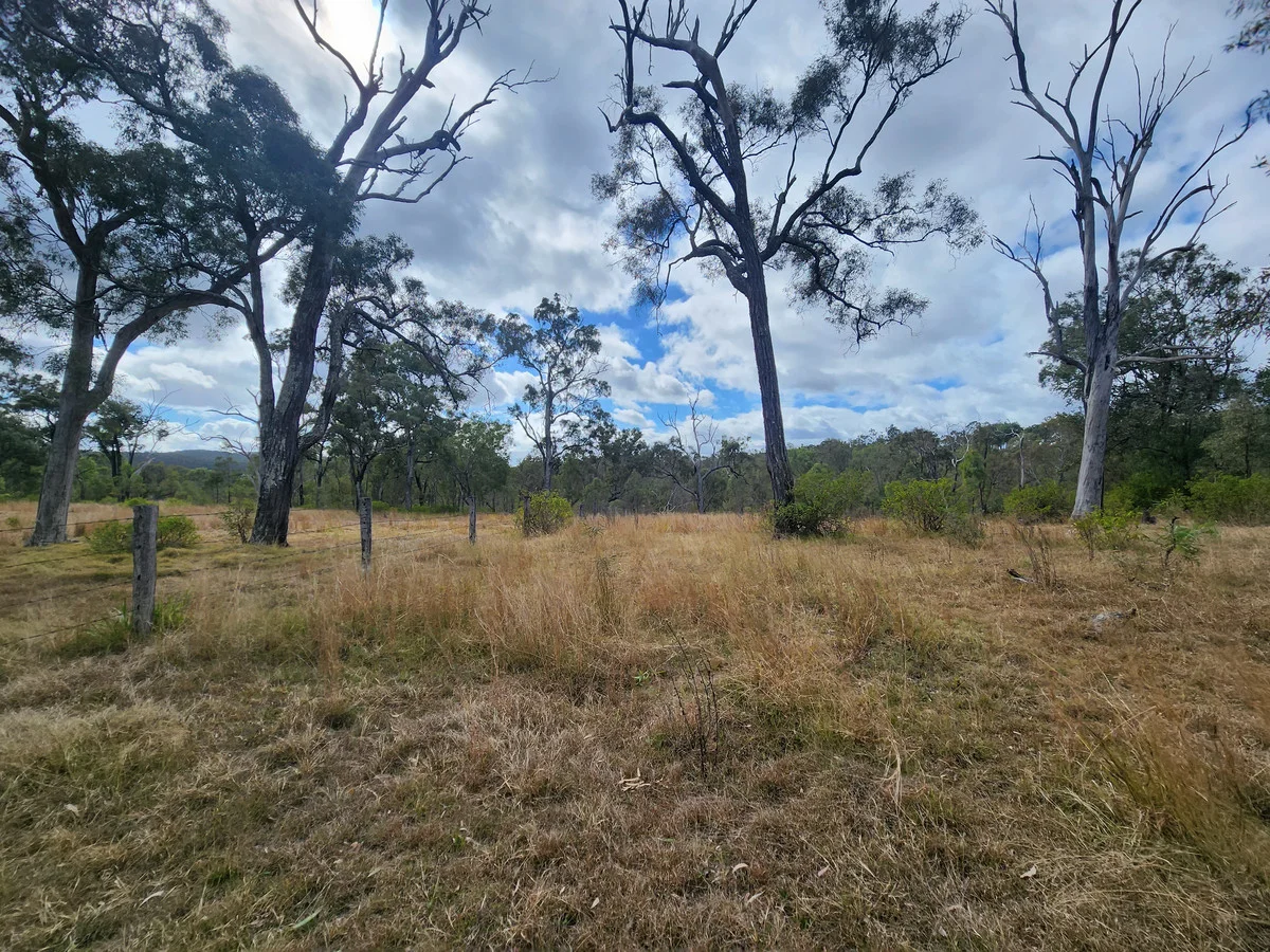 Image 13