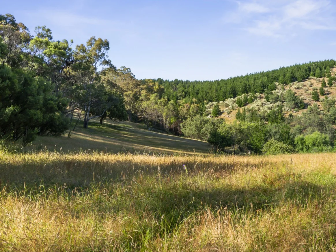 Image 13