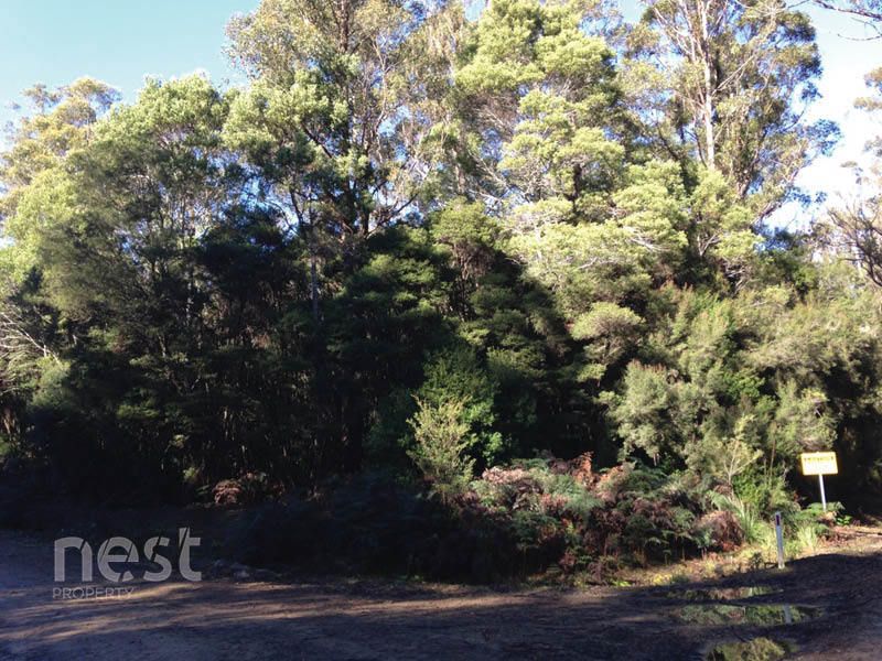 Corner Lockleys Road & Fitzgerald Road, Adventure Bay TAS 7150, Image 1