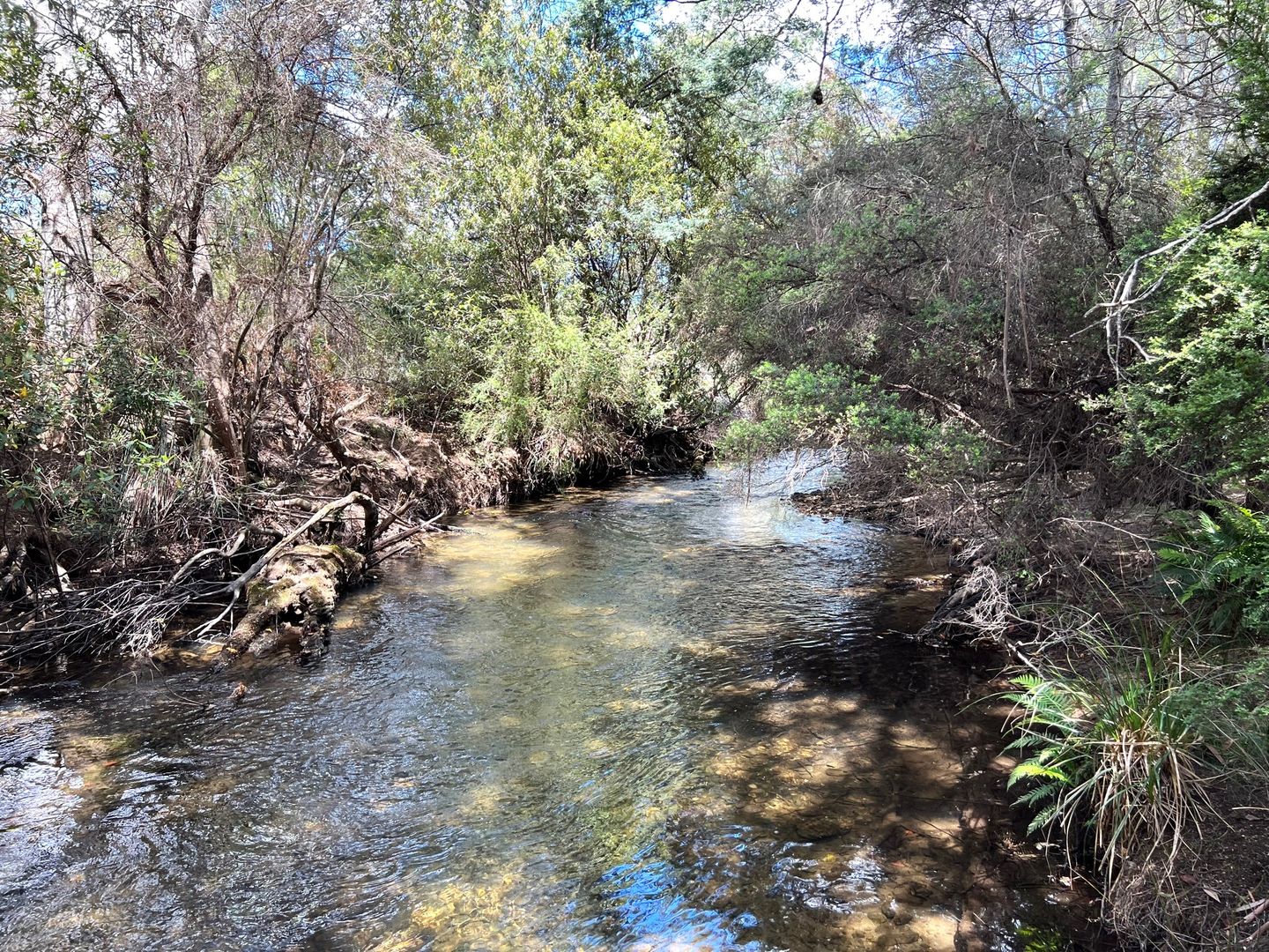 Tims Creek Road, Mathinna TAS 7214, Image 1