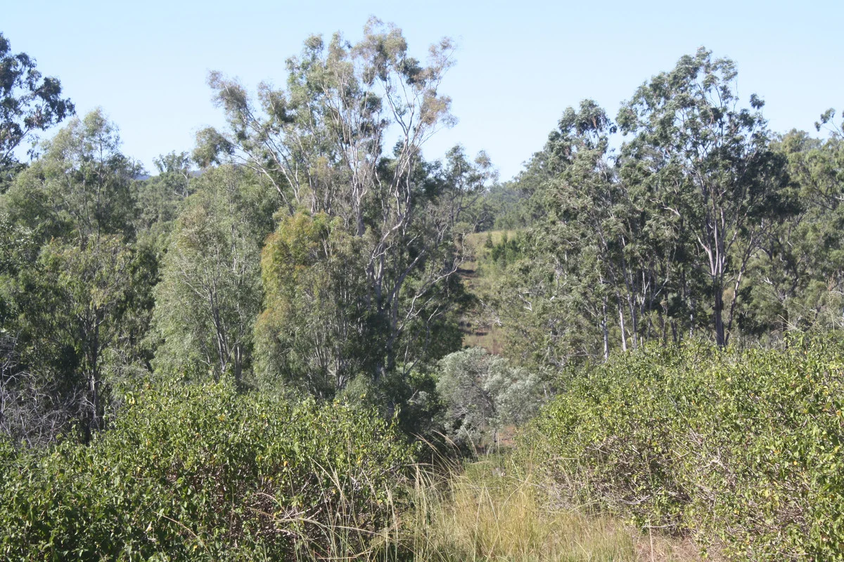 Image 32