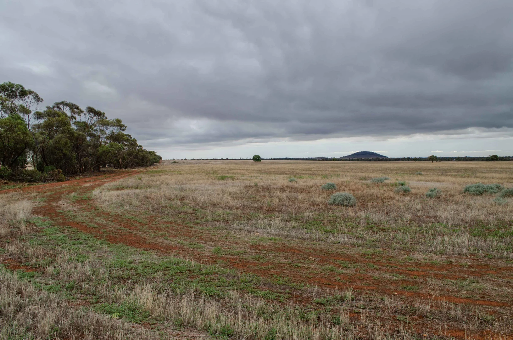 Additional image 4 of 83 Cornells Road, Condobolin NSW 2877