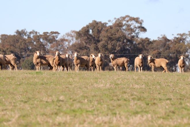 Picture of 1466 Rannock Road, BERRY JERRY NSW 2701