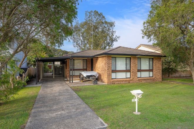 Picture of 23 Black Swan Street, BERKELEY VALE NSW 2261