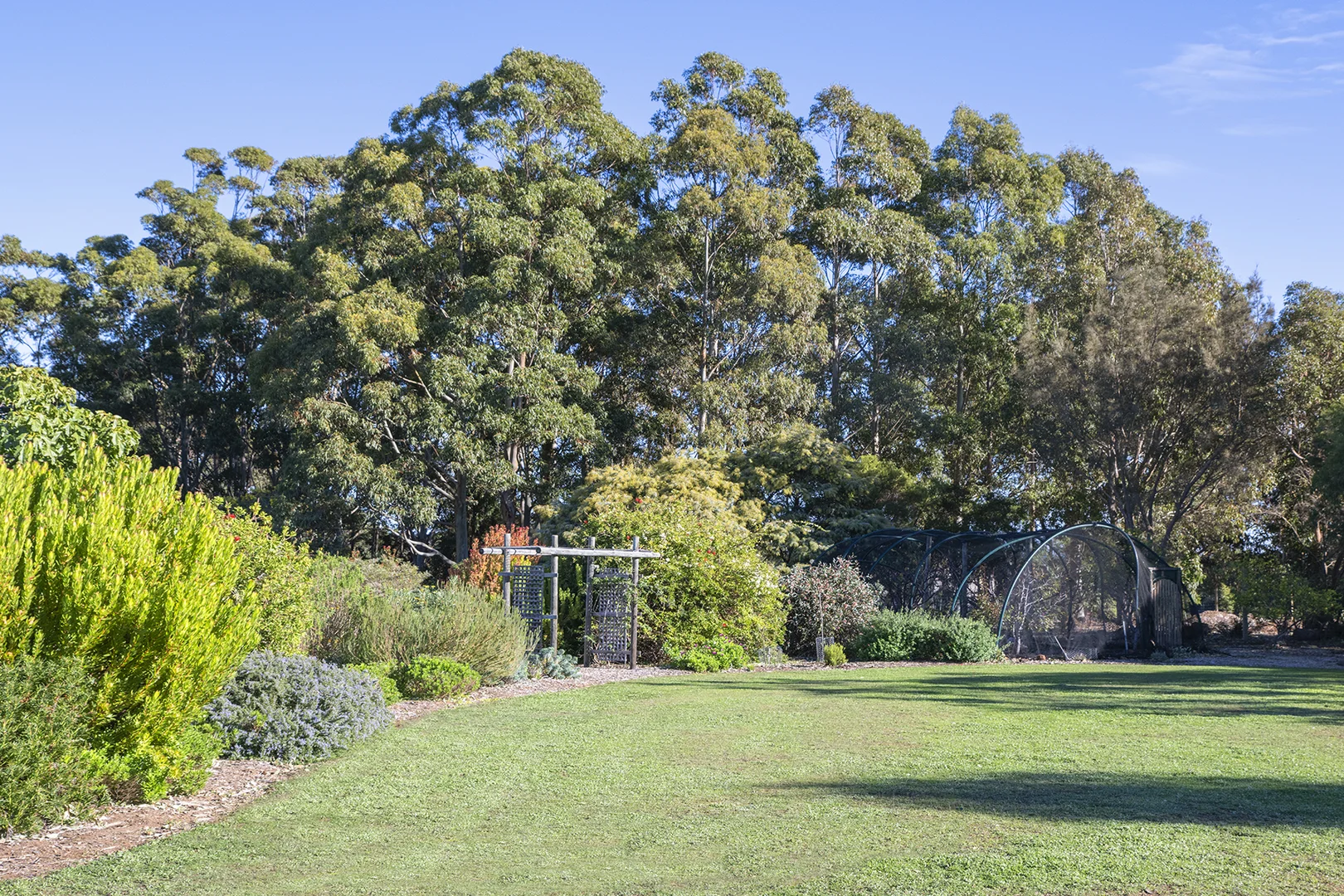 Image 16