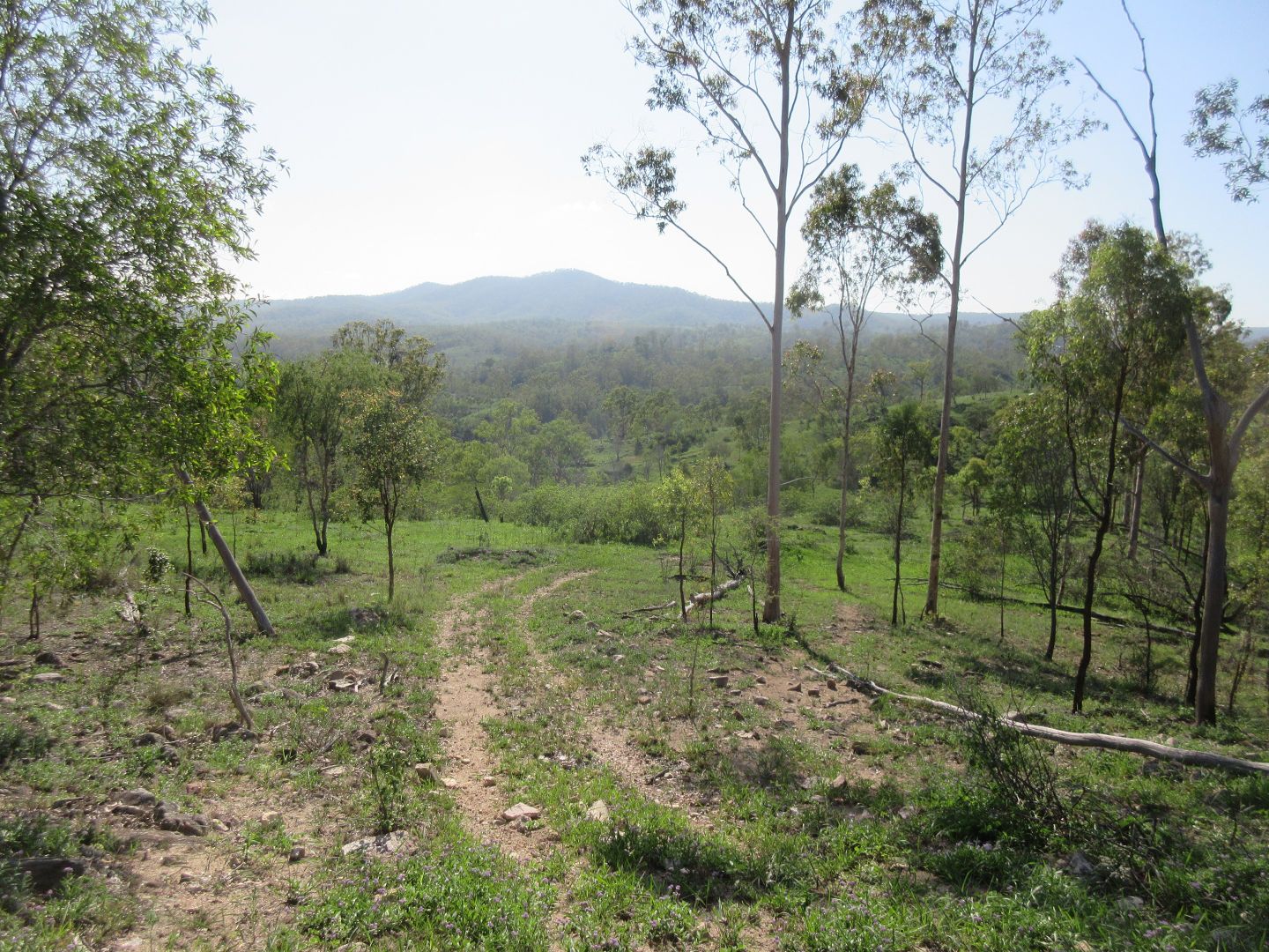 New Moonta QLD 4671 Vacant Land for Sale 665,000 Domain