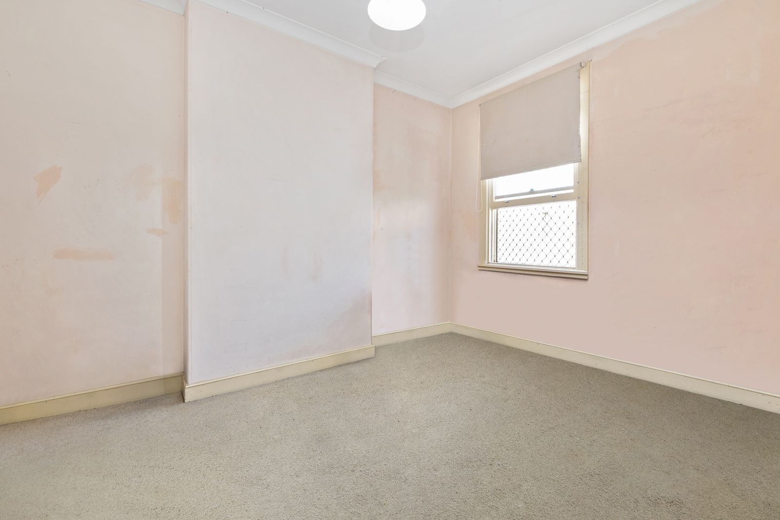 162 Albion Street, Surry Hills NSW 2010, Image 2