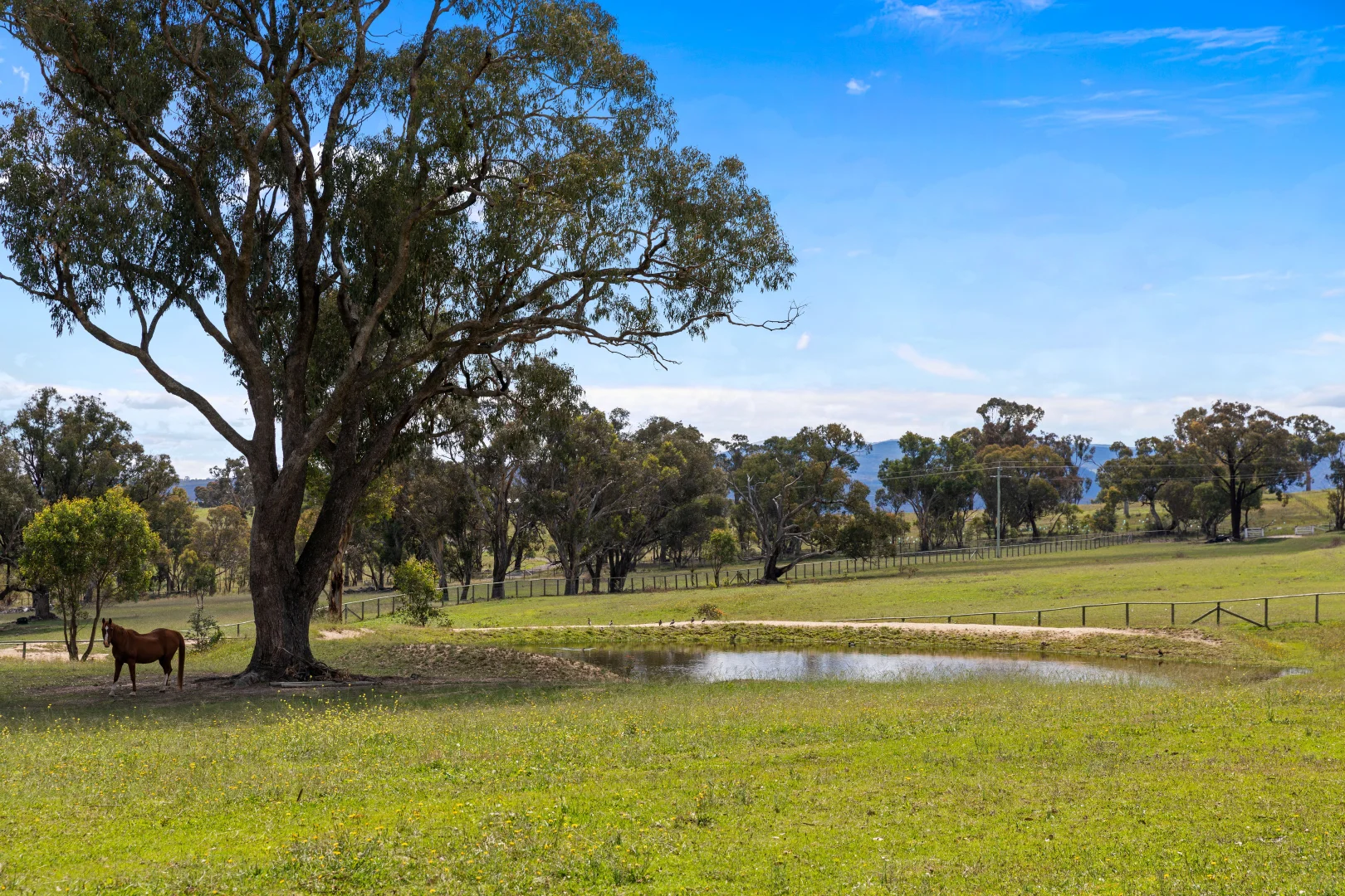 Additional image 24 of 1305 Carlwood Road, O'Connell NSW 2795