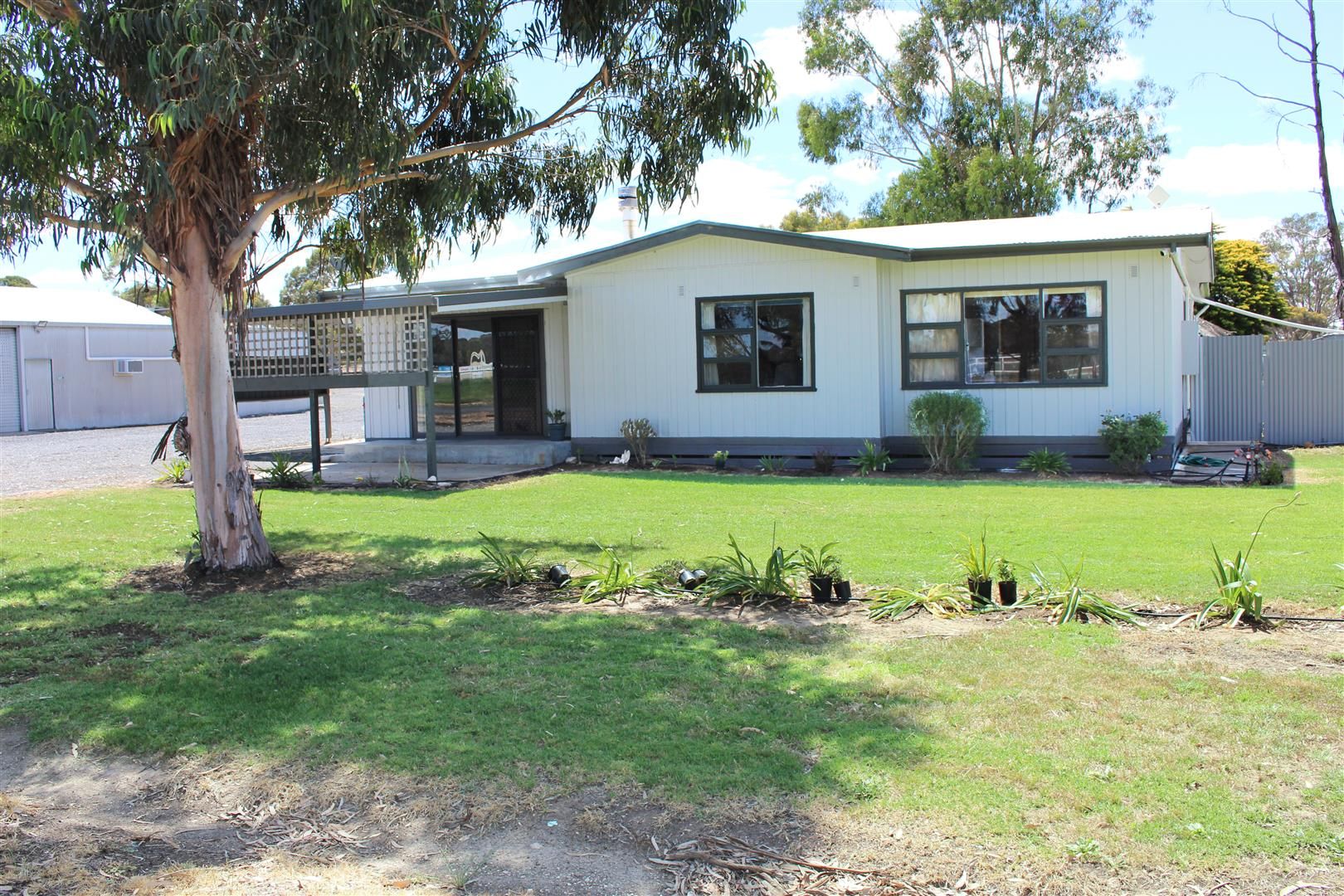 136 Racecourse Rd, Bordertown SA 5268 House for Sale 260,000