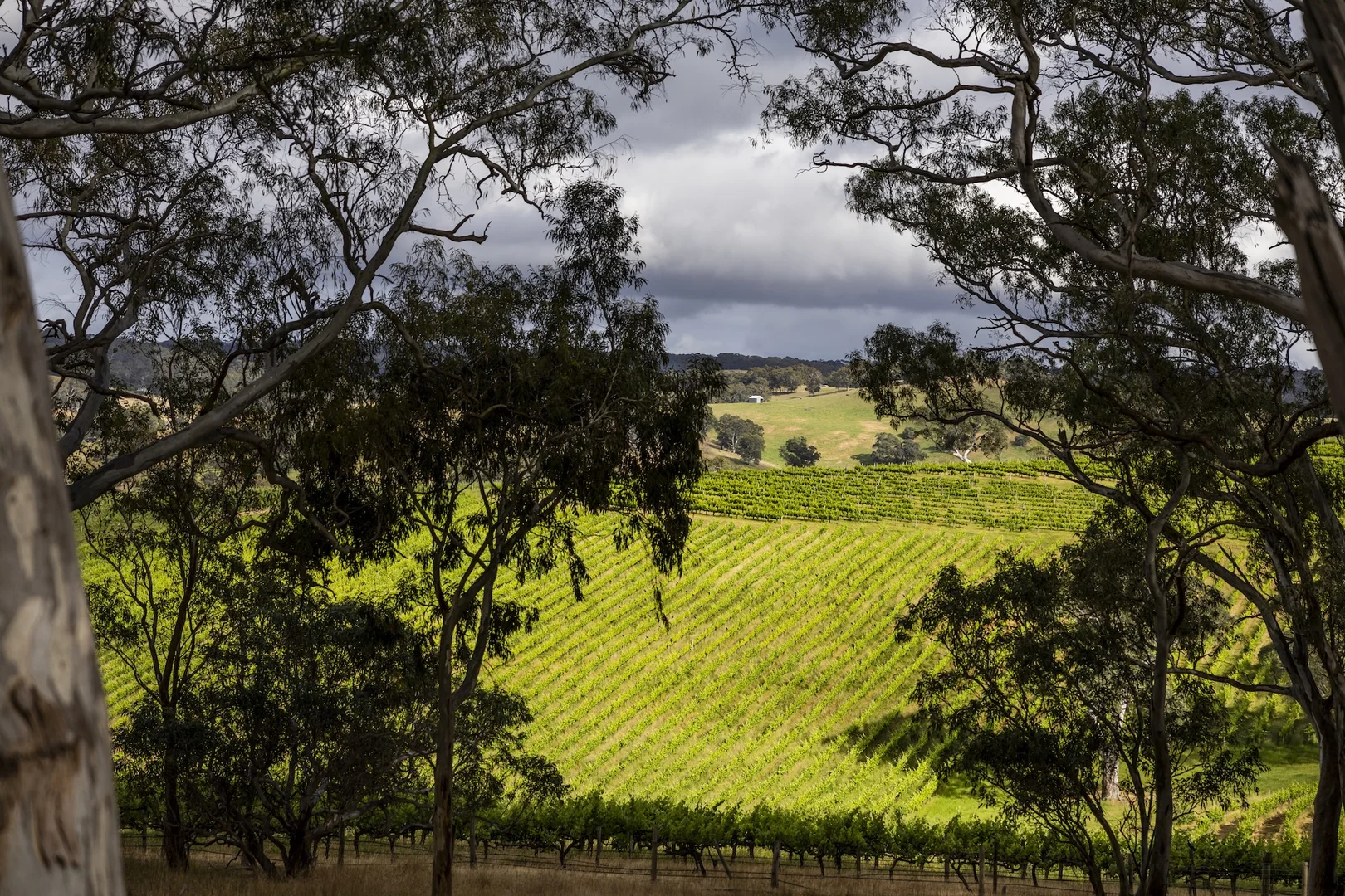 Image 22