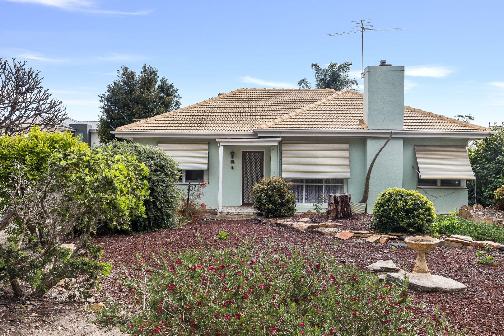 43 Wilson Street, Cowandilla SA 5033, Image 1