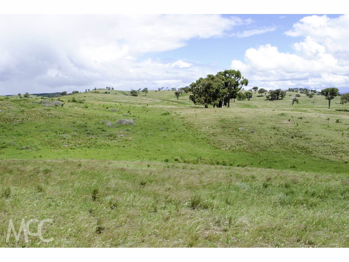 660 Kerrs Creek Road, Kerrs Creek NSW 2800, Image 2