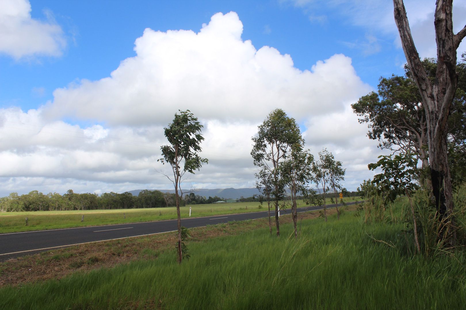 1384 Endeavour Valley Rd, Cooktown QLD 4895, Image 1