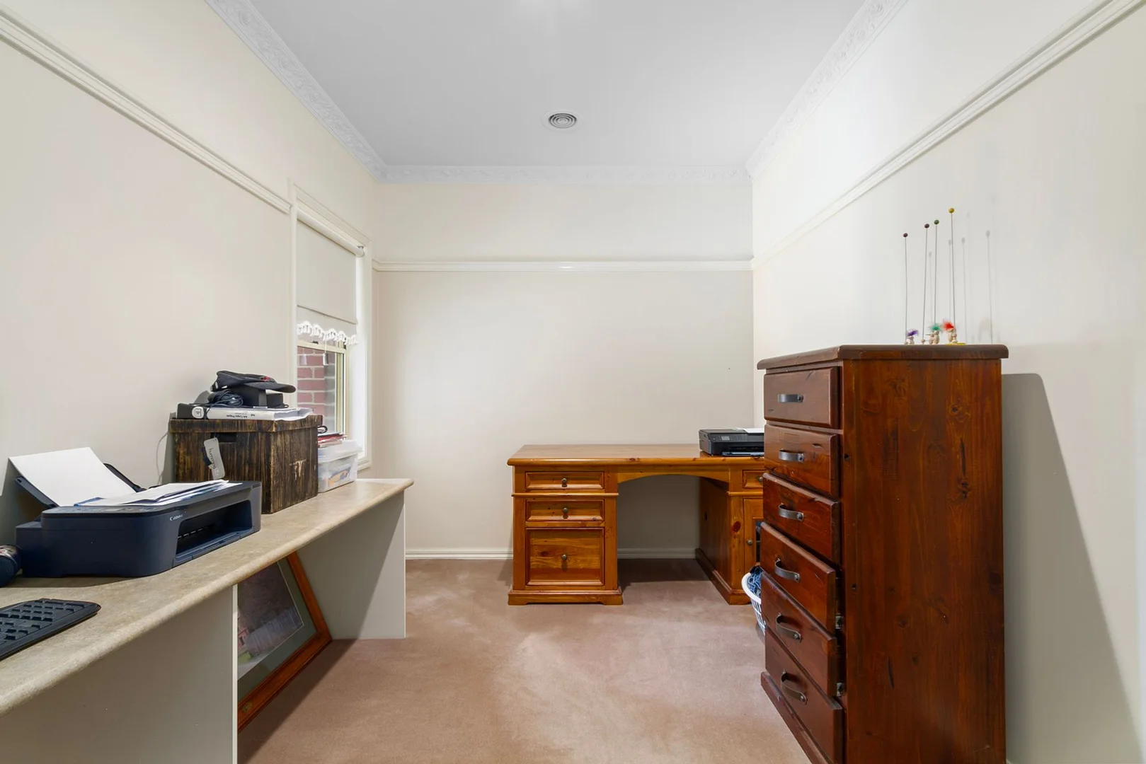 Image 15