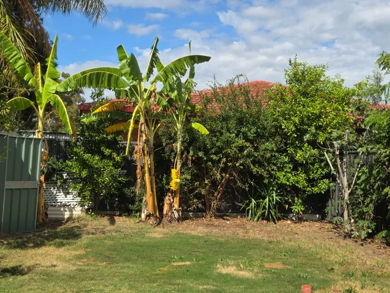 Additional image 16 of 73 Wallala Avenue, Park Holme SA 5043