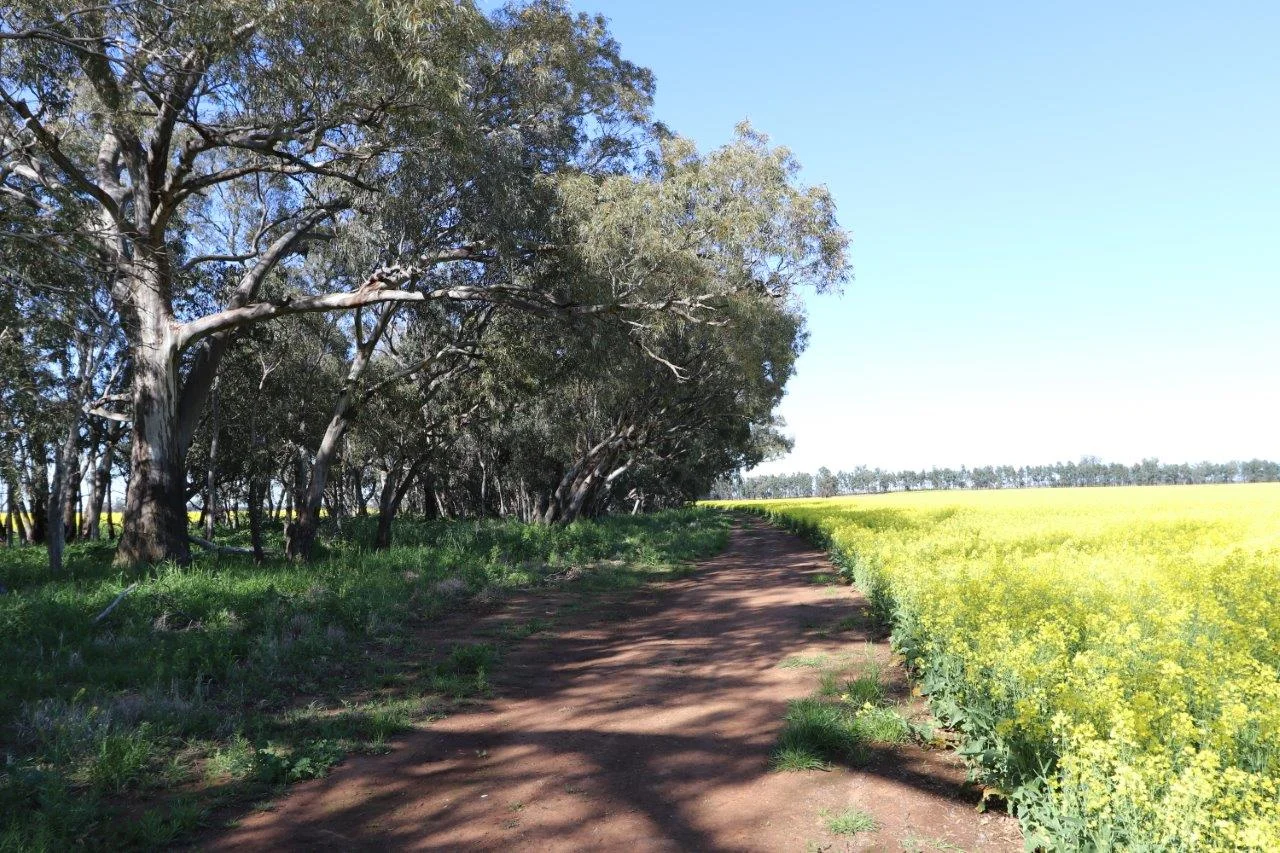 Image 13