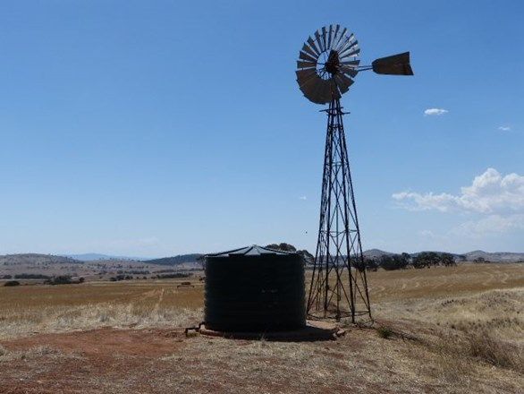 Sect 145 Tarcowie Peterborough Road & Briars Road, Tarcowie SA 5431, Image 0